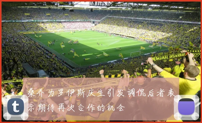 桑乔为罗伊斯庆生引发调侃后者表示期待再次合作的机会